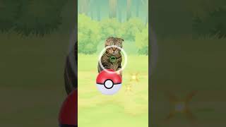 野生MOCO GET! #ai #capcut #ポケモン #pokemon #cat #kawaii #games #ゲーム #funny