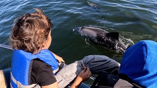 Dassen Island Family Adventure