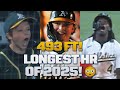 493 FEET The LONGEST HOME RUN OF 2025 Was A GRAND SLAM Hit By ROOKIE Nick Kurtz