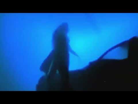 szymi tbd - na noc nie dwie (prod@munek)