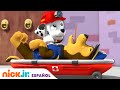 PAW Patrol Patrulla De Cachorros Chase Se Enferma Nick Jr En Español
