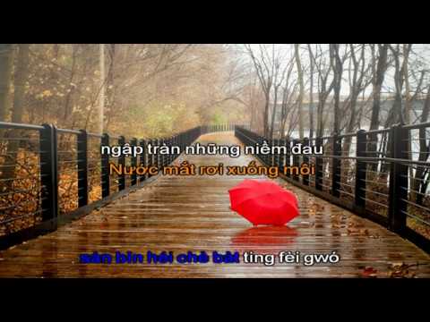 Karaoke Cuộc Tình Trong Cơn Mưa | 雨中的恋人们 - Hoàng Khải Cần 黄凯芹