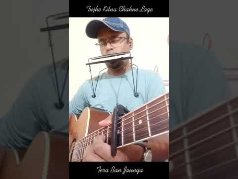 Kabir Singh - Tujhe Kitna - Tera Ban Jaunga- Harmonica & Guitar Instrumental Medley - Parshuram
