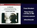 Franz Schubert: Piano Sonata in B flat, D. 960 - II. Andante sostenuto - Alfred Brendel