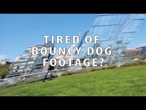 The Canine Film Stabilization Dolly for GoPro Fetch