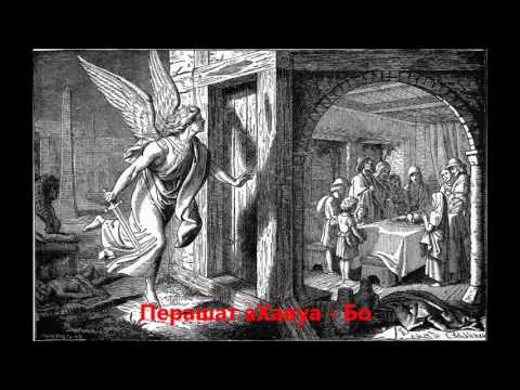 Perašat Bo 15/54 (II Knjiga Mojsijeva 10:1-13:16) (Israegzit, Egzodus, pashalna žrtva)