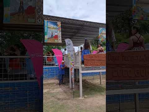 David Gomez Coplas en Villa Rio Bermejito CHACO