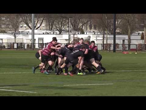 25/03/2018 Maraboes Maastricht - Tarantula 2