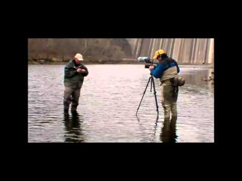 download lagu mp3 mp4 Eastern Fly Fishing Magazine, download lagu Eastern Fly Fishing Magazine gratis, unduh video klip Eastern Fly Fishing Magazine