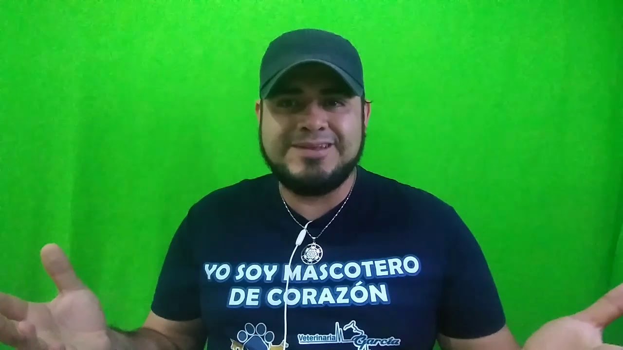 ¿ Para que se usa el MELOXICAM en mascotas