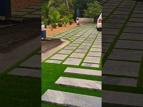 #flowers #morning #vibes #kerala #home #nostalgia #kidsfunworld@Alphonsa-ll9nv