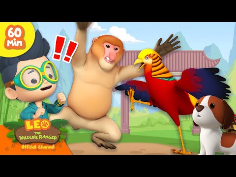 Witness21 Editor  2024 02 03