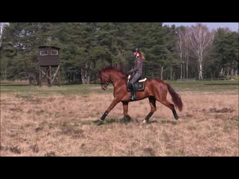 Von und Zu in der Heide