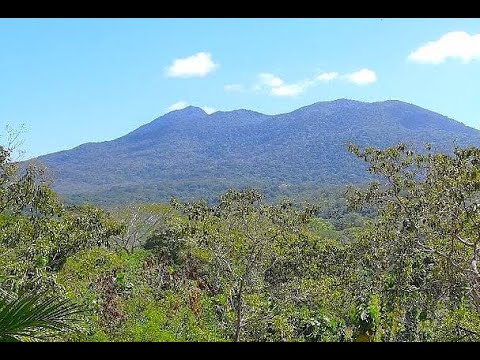 img-video