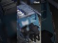 Bus leegroven? Laat dat maar aan team Lomp en Onbenullig over! | RTV Oost