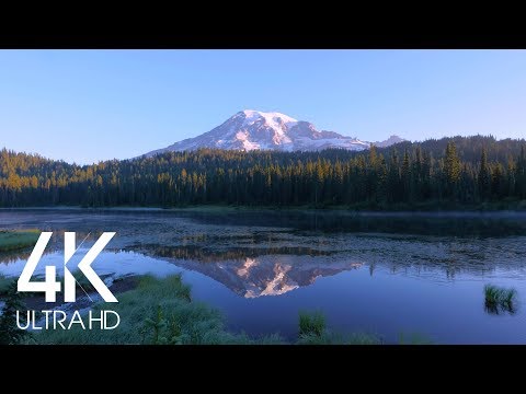 10 Hours of Relaxing Birds Singing in Mount Rainier National Park - 4K Video