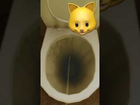 My Toilet Obsession Came Back to Bite Me.. 🐛🚽