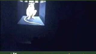 Download Lagu Donna Haraway. Cyborgs, Dogs and Companion Species 2000 2/9 Thumbnail