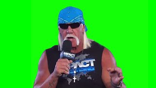 Hulk Hogan "the main problem we have right now is we got a problem" green screen