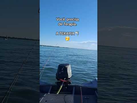 Pescaria boa , Porto Figueira PR