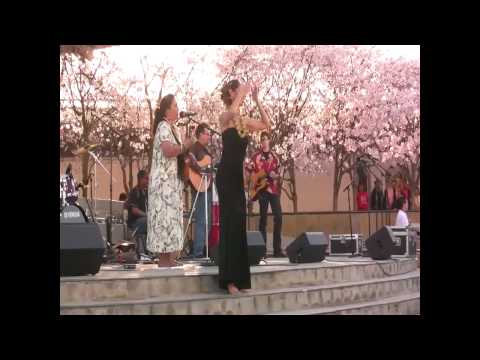"Imagine / Have You Ever Seen The Rain" Sung By Faith Ako Hula By Kumu Hula Shawna Alapai