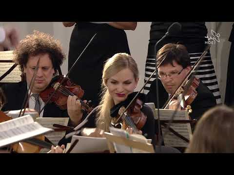 J. S. Bach: Magnificat D major / Jan Dismas Zelenka – Missa Omnium Sanctorum / Collegium 1704 / Luks