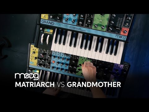 Moog Matriarch vs Moog Grandmother — Daniel Fisher