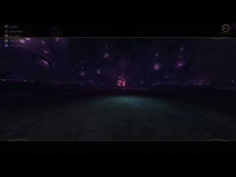 Невервинтер Red Rose Черная Баронесса