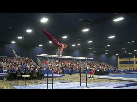Alex Powarzynski - Parallel Bars - 2018 Winter Cup - Finals