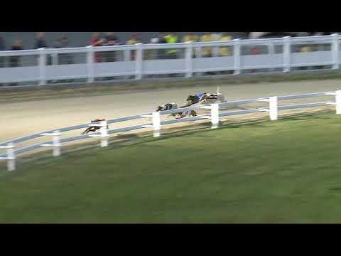 2021.07.02. 02. futam - Derby Day Sprint Invitation