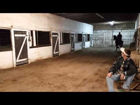 José colt coming along