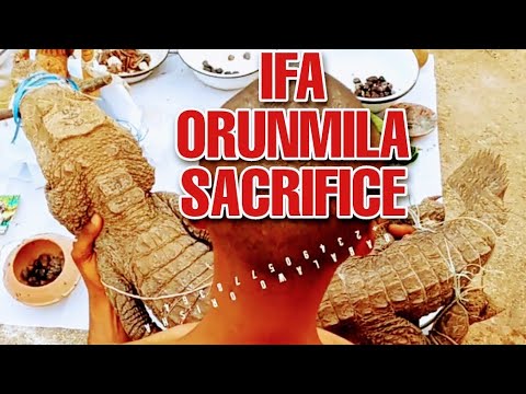 IFA ORUNMILA SACRIFICE LIVE IN BABALAWO ORISHA SHRINE