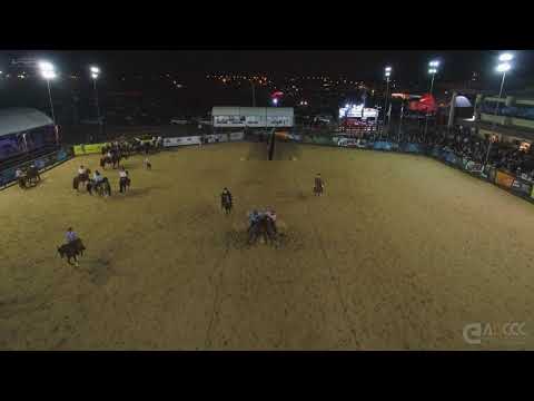 Expo FICCC - Paleteada Argentina