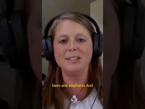 Brand Storytelling with Sophia Reamsnyder - Elephants & Bees in Africa?
