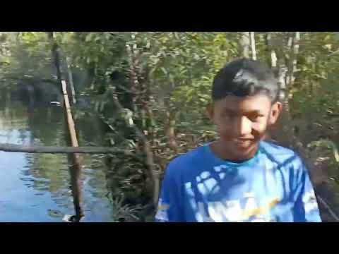 Serras guerreira - Santa Isabel do Rio Negro - AM