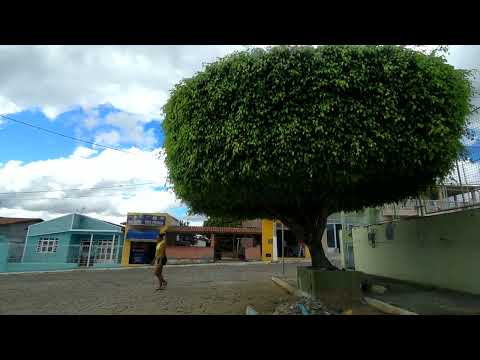 Várzea do Poço - Ba ( Parte 01) = 22/07/2026