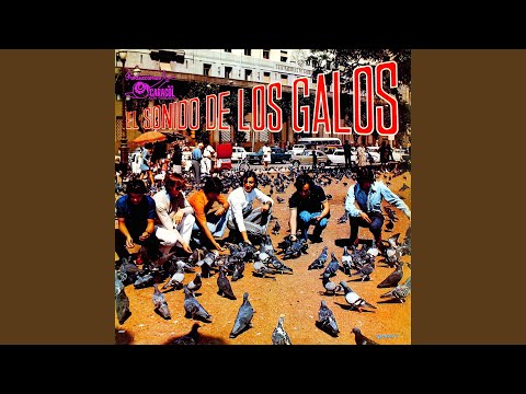 Quiero ser tu dueño