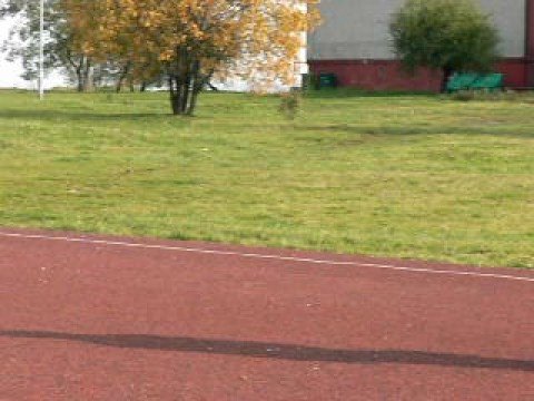 szkolenie, komenda przynieś