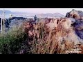 Chhod Aaye Hum Wo Galiyaan Anuj Gautam Rajasthan Tour 2012
