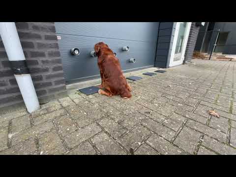 The multi Target Training System (MTTS)