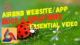Airbnb Website Bugs
