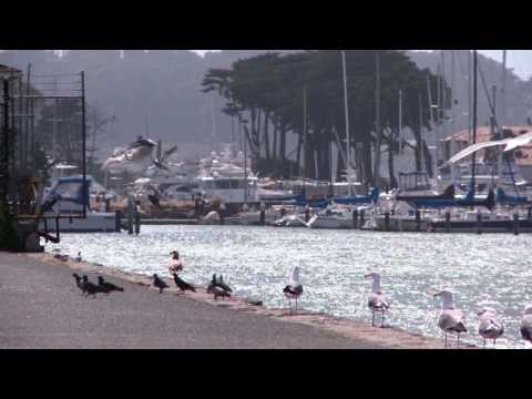 Hijo de la luna - Remix Espagnol