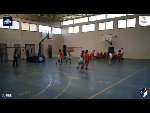 INFANTIL FEMENINO : CB 7 Palmas -  Santa Lucía Basket