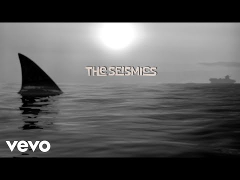 The Seismics video