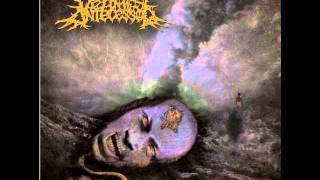 Vermis Antecessor - The Subliminal Way Of Flesh