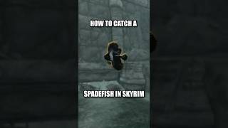 How To Catch A Spadefish In Skyrim! #fishing #skyrim #skyrimanniversaryedition #shorts