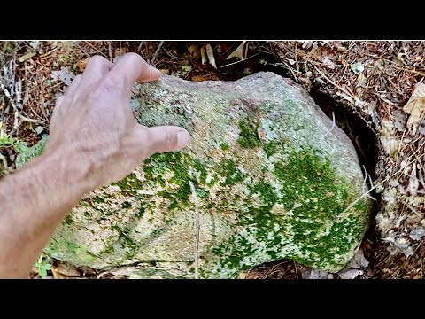 I can't explain the strange mystery hole I found in the woods