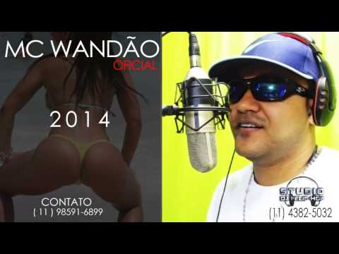 MC WANDÃO -  CHAMEI TODO O BRASIL  ( DJ FELIP'HOP )