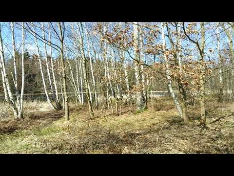 Kleiner Filzteich Erzgebirge