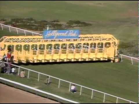1984 Breeders' Cup Mile